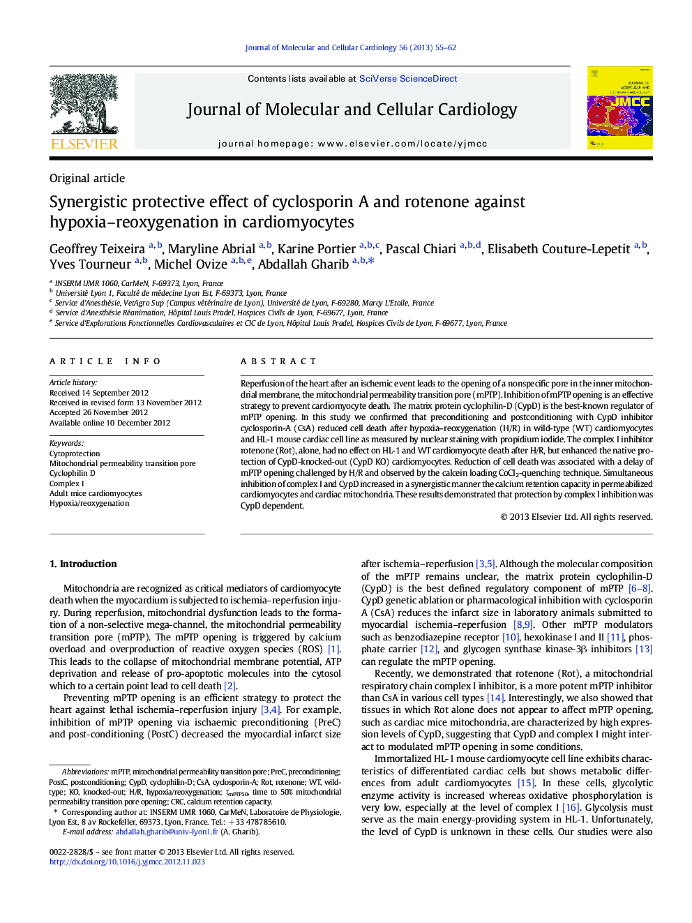 Synergistic protective effect of cyclosporin A and rotenone against hypoxia-reoxygenation in cardiomyocytes