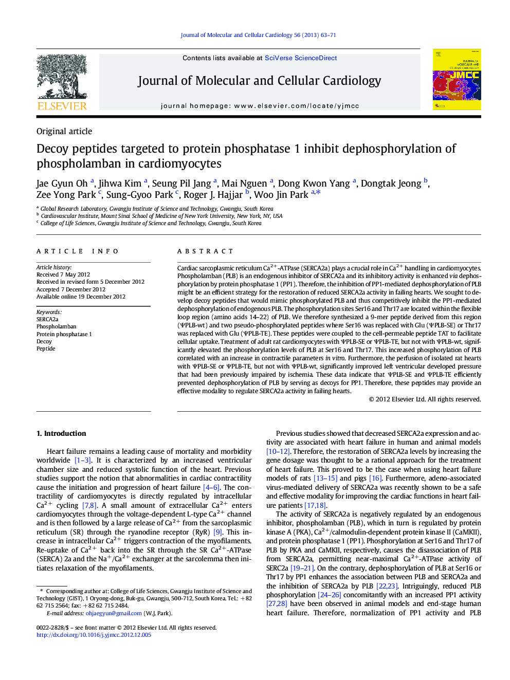 Decoy peptides targeted to protein phosphatase 1 inhibit dephosphorylation of phospholamban in cardiomyocytes