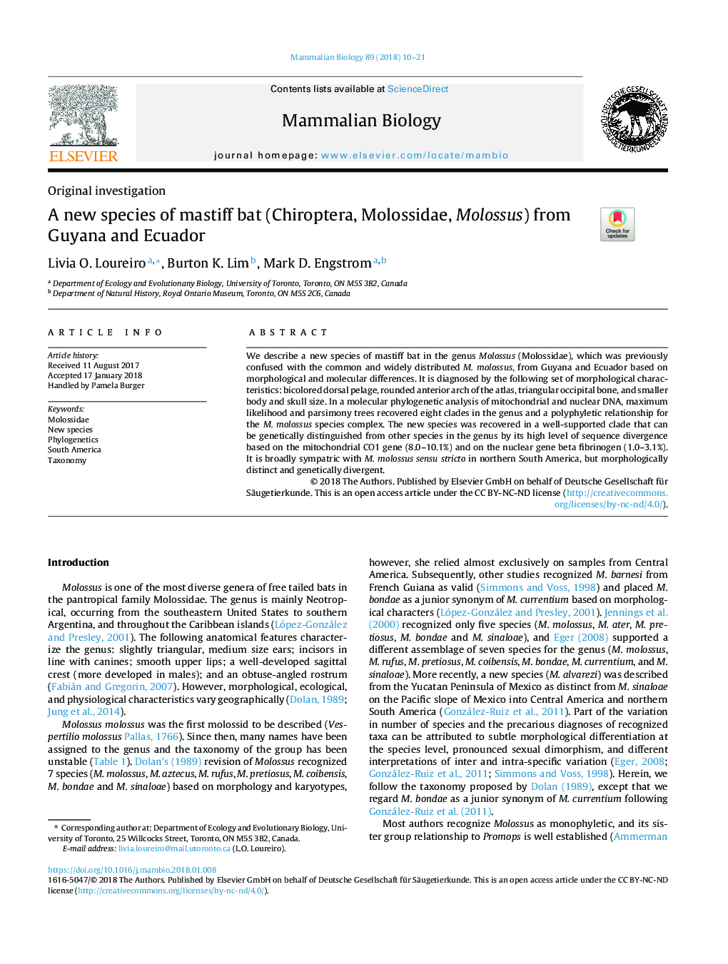 عکس صفحه اول مقاله: A new species of mastiff bat (Chiroptera, Molossidae, Molossus) from Guyana and Ecuador A new species of mastiff bat (Chiroptera, Molossidae, Molossus) from Guyana and Ecuador