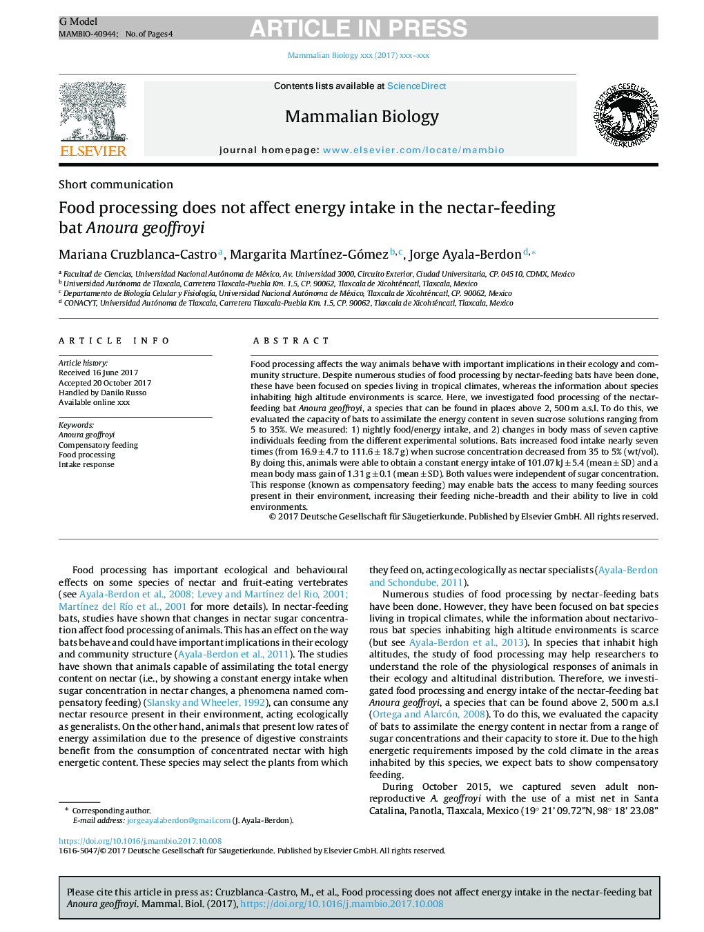 Food processing does not affect energy intake in the nectar-feeding bat Anoura geoffroyi