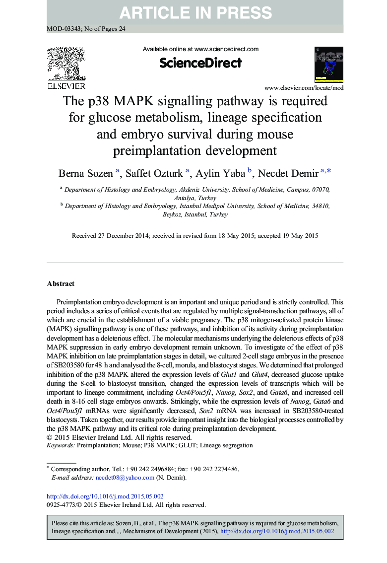 The p38 MAPK signalling pathway is required for glucose metabolism, lineage specification and embryo survival during mouse preimplantation development