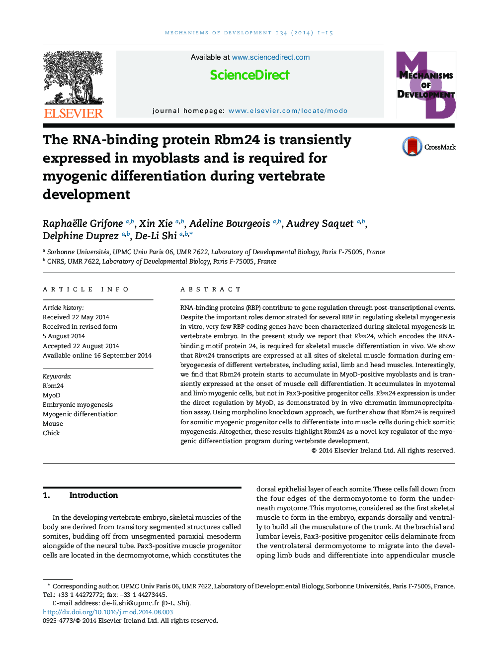 The RNA-binding protein Rbm24 is transiently expressed in myoblasts and is required for myogenic differentiation during vertebrate development