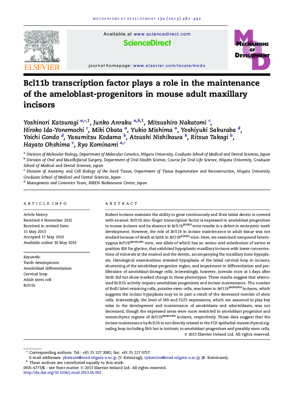 Bcl11b transcription factor plays a role in the maintenance of the ameloblast-progenitors in mouse adult maxillary incisors