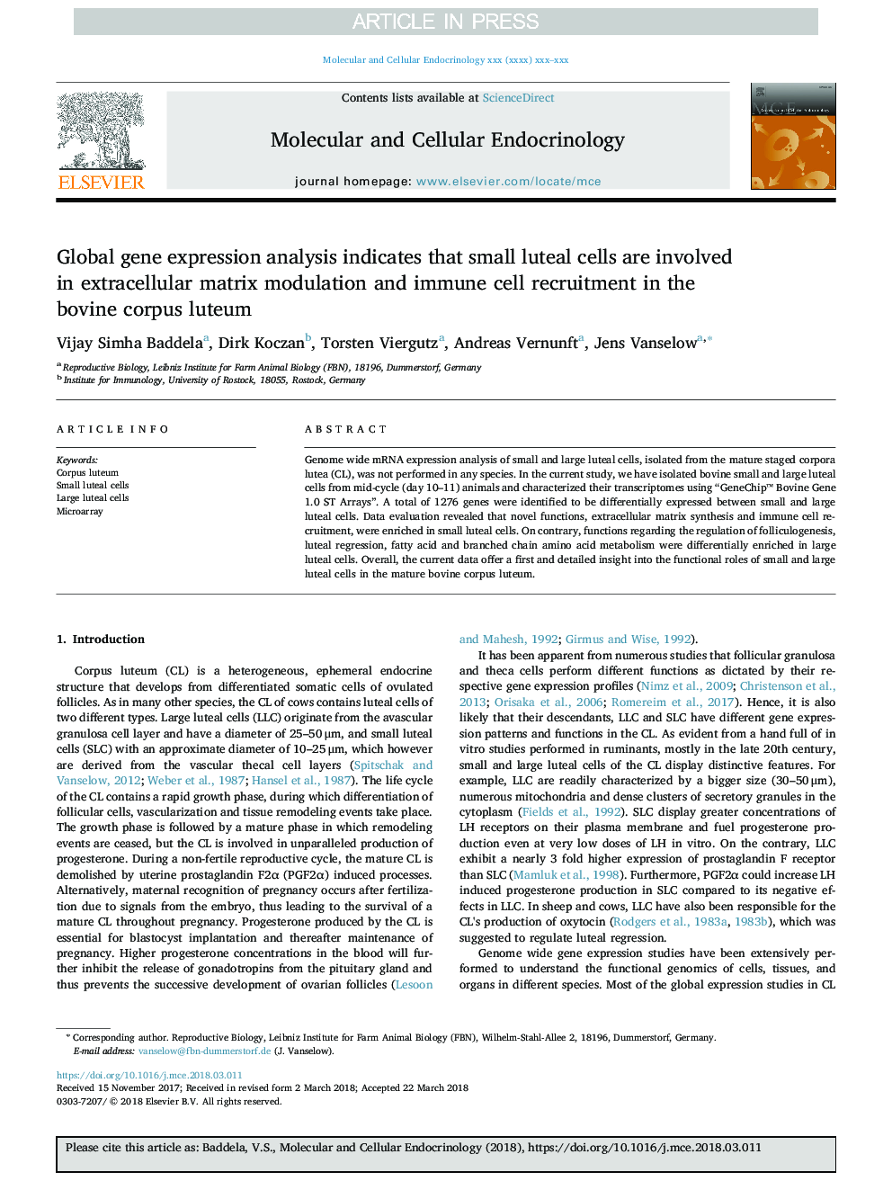 Global gene expression analysis indicates that small luteal cells are involved in extracellular matrix modulation and immune cell recruitment in the bovine corpus luteum