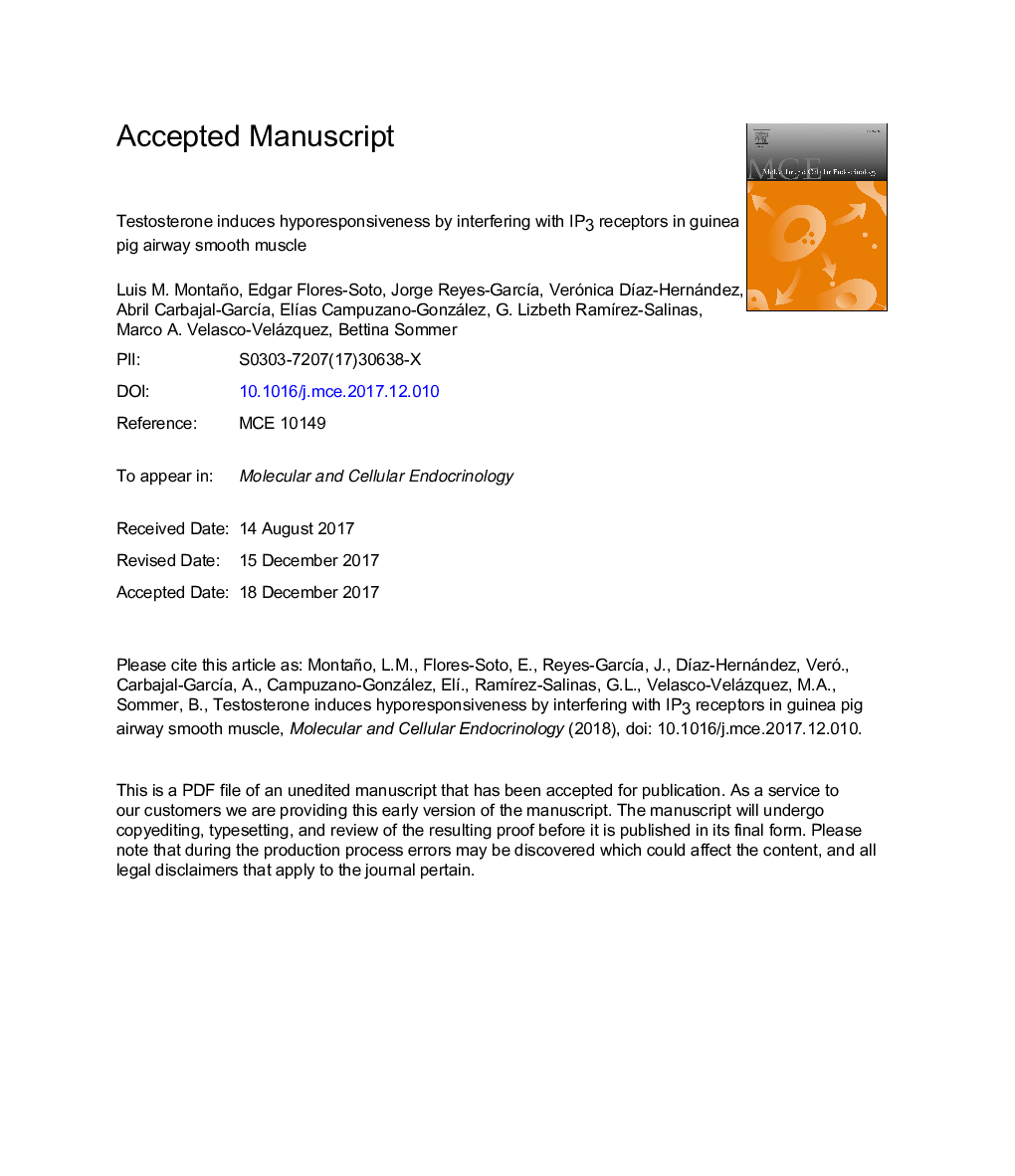 Testosterone induces hyporesponsiveness by interfering with IP3 receptors in guinea pig airway smooth muscle