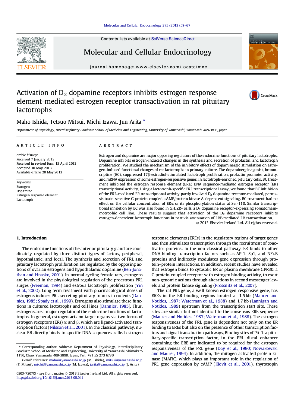 Activation of D2 dopamine receptors inhibits estrogen response element-mediated estrogen receptor transactivation in rat pituitary lactotrophs