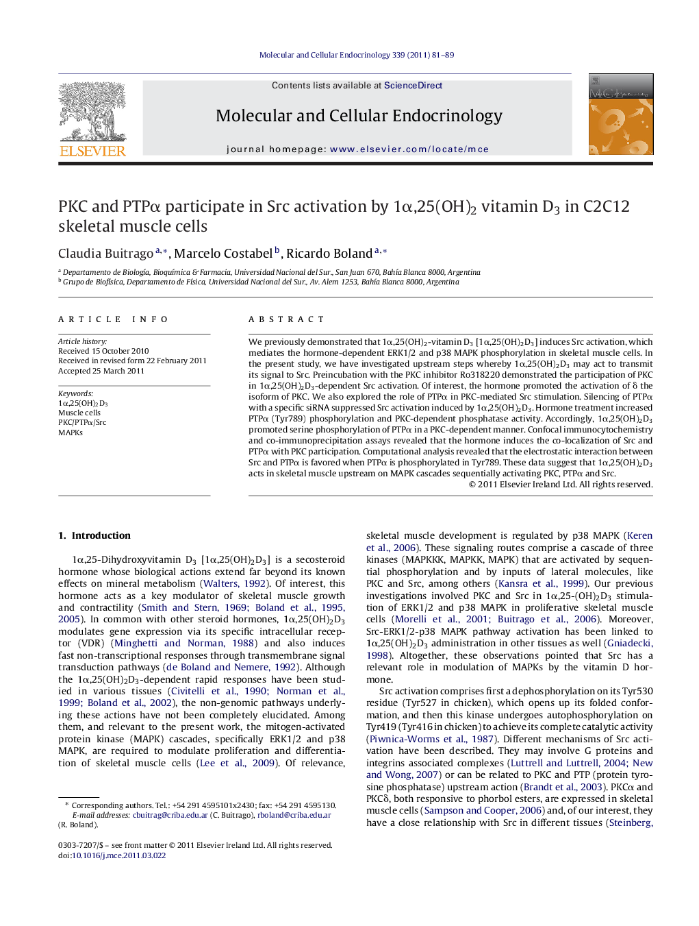 PKC and PTPÎ± participate in Src activation by 1Î±,25(OH)2 vitamin D3 in C2C12 skeletal muscle cells