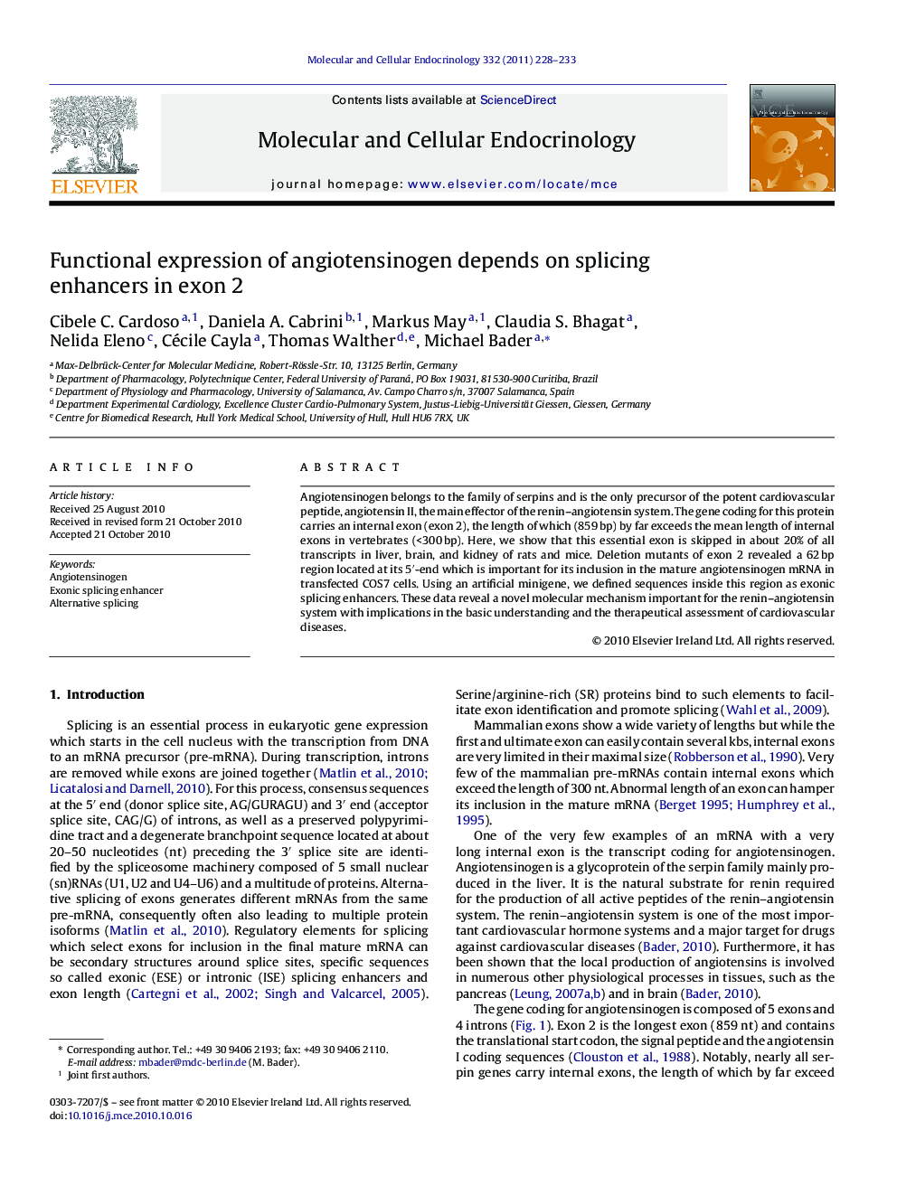 Functional expression of angiotensinogen depends on splicing enhancers in exon 2