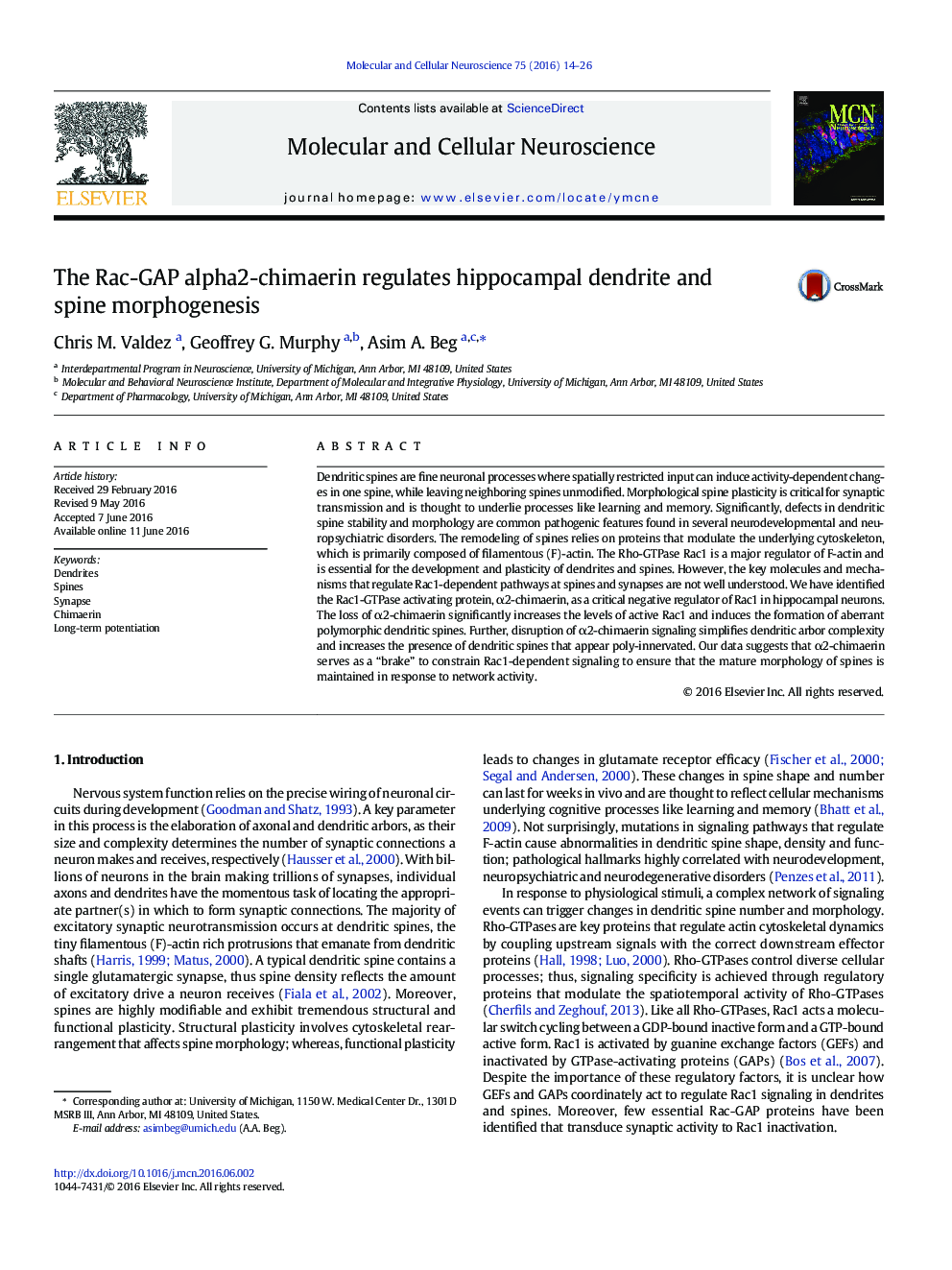 The Rac-GAP alpha2-chimaerin regulates hippocampal dendrite and spine morphogenesis