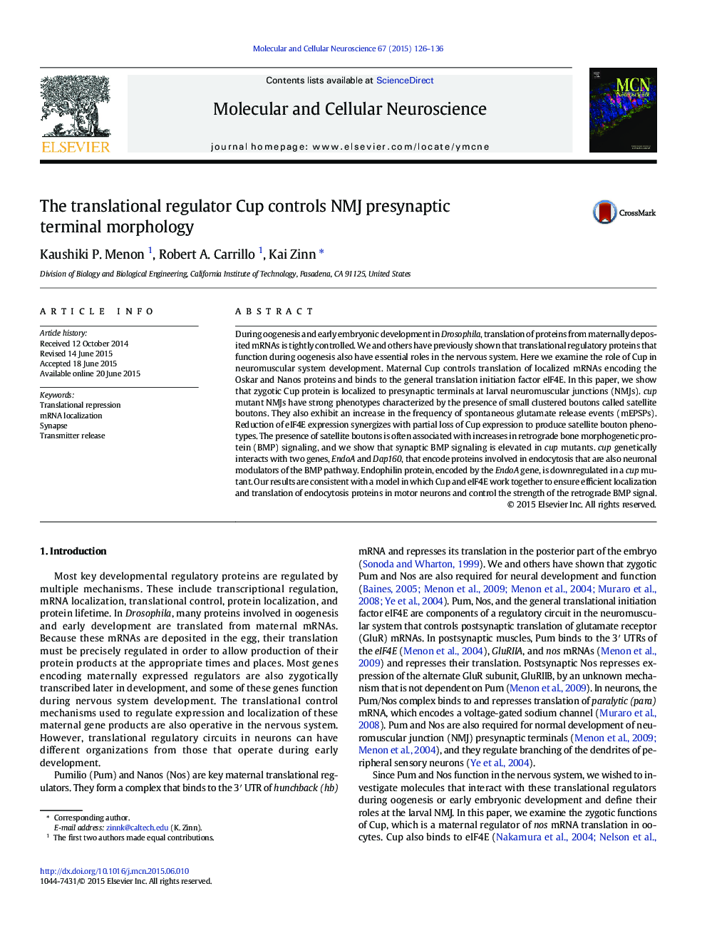The translational regulator Cup controls NMJ presynaptic terminal morphology