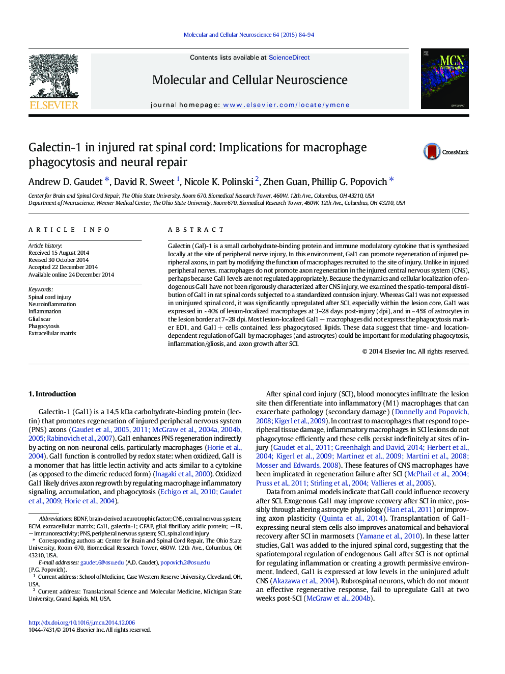 گالکتین-1 در نخاع آسیب دیده: پیامدهای فاگوسیتوز ماکروفاژ و تعمیر عصبی 