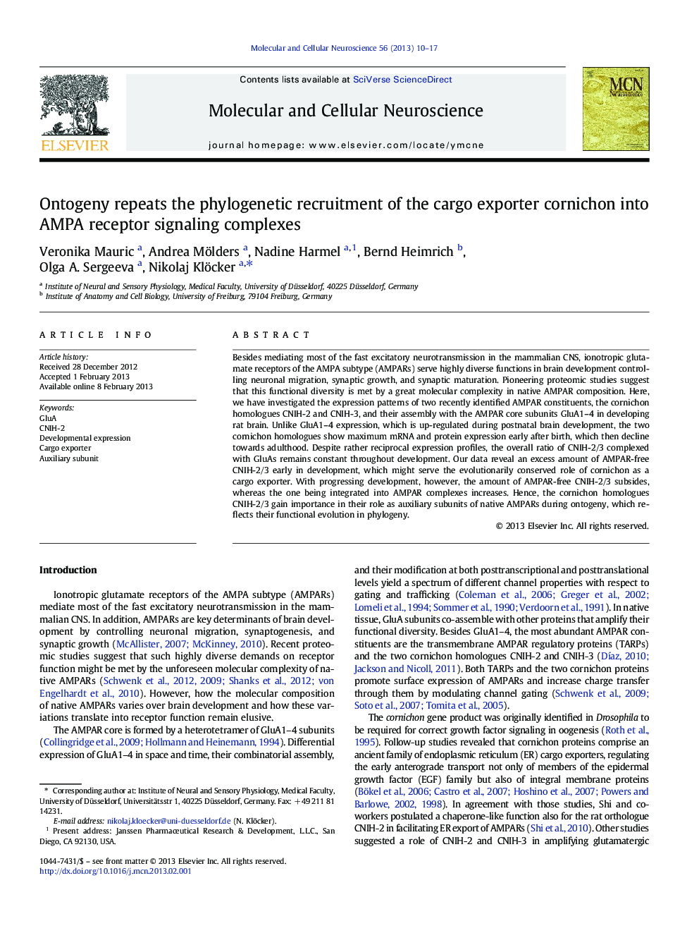 Ontogeny repeats the phylogenetic recruitment of the cargo exporter cornichon into AMPA receptor signaling complexes