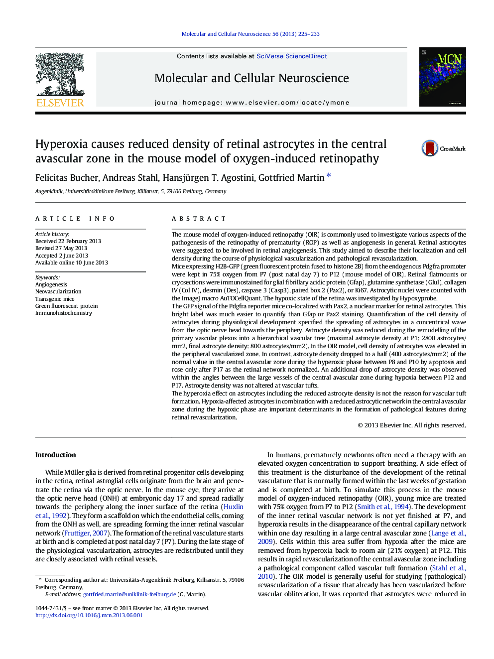 Hyperoxia causes reduced density of retinal astrocytes in the central avascular zone in the mouse model of oxygen-induced retinopathy