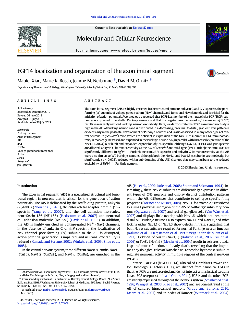 FGF14 localization and organization of the axon initial segment
