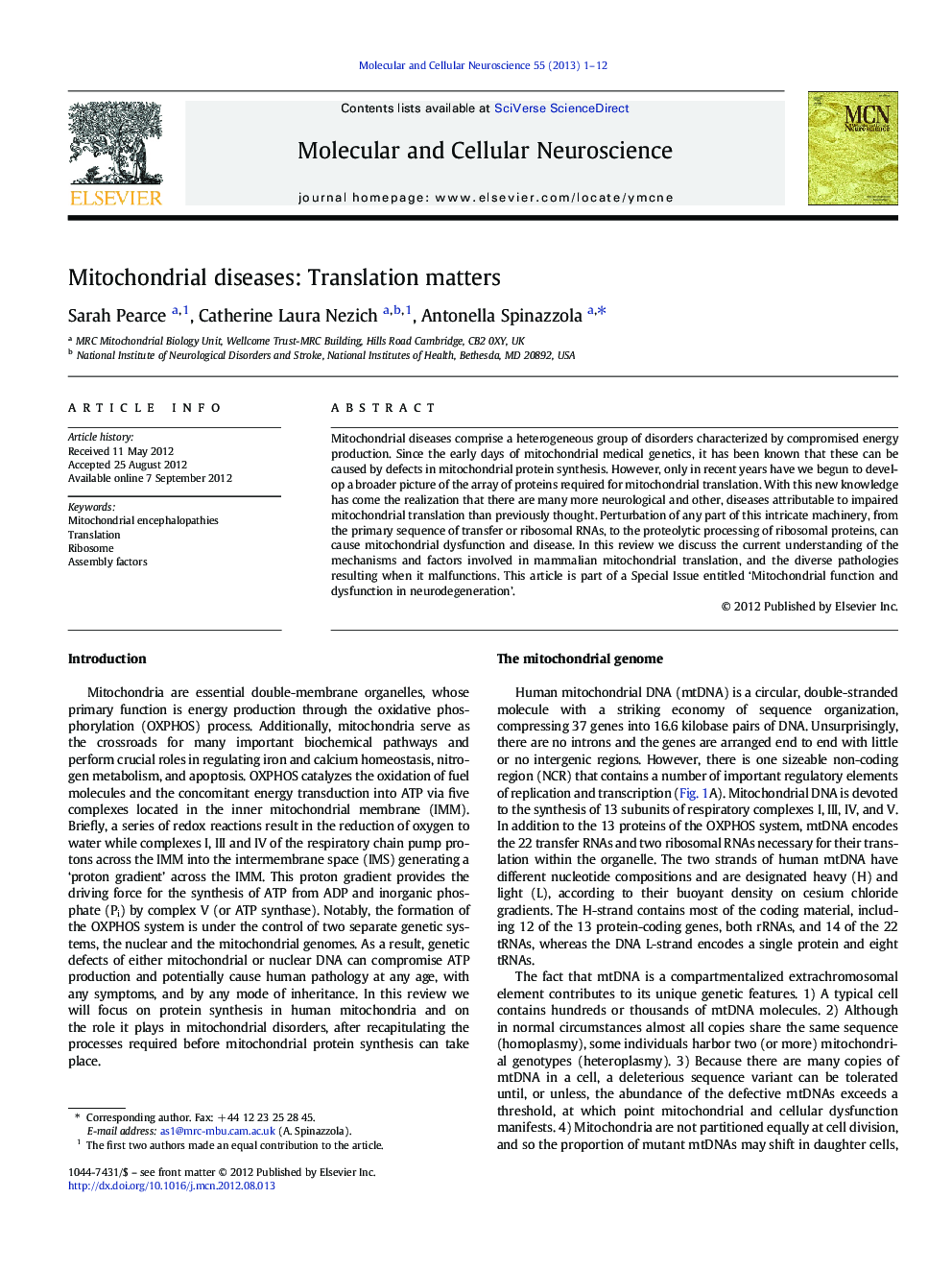 Mitochondrial diseases: Translation matters