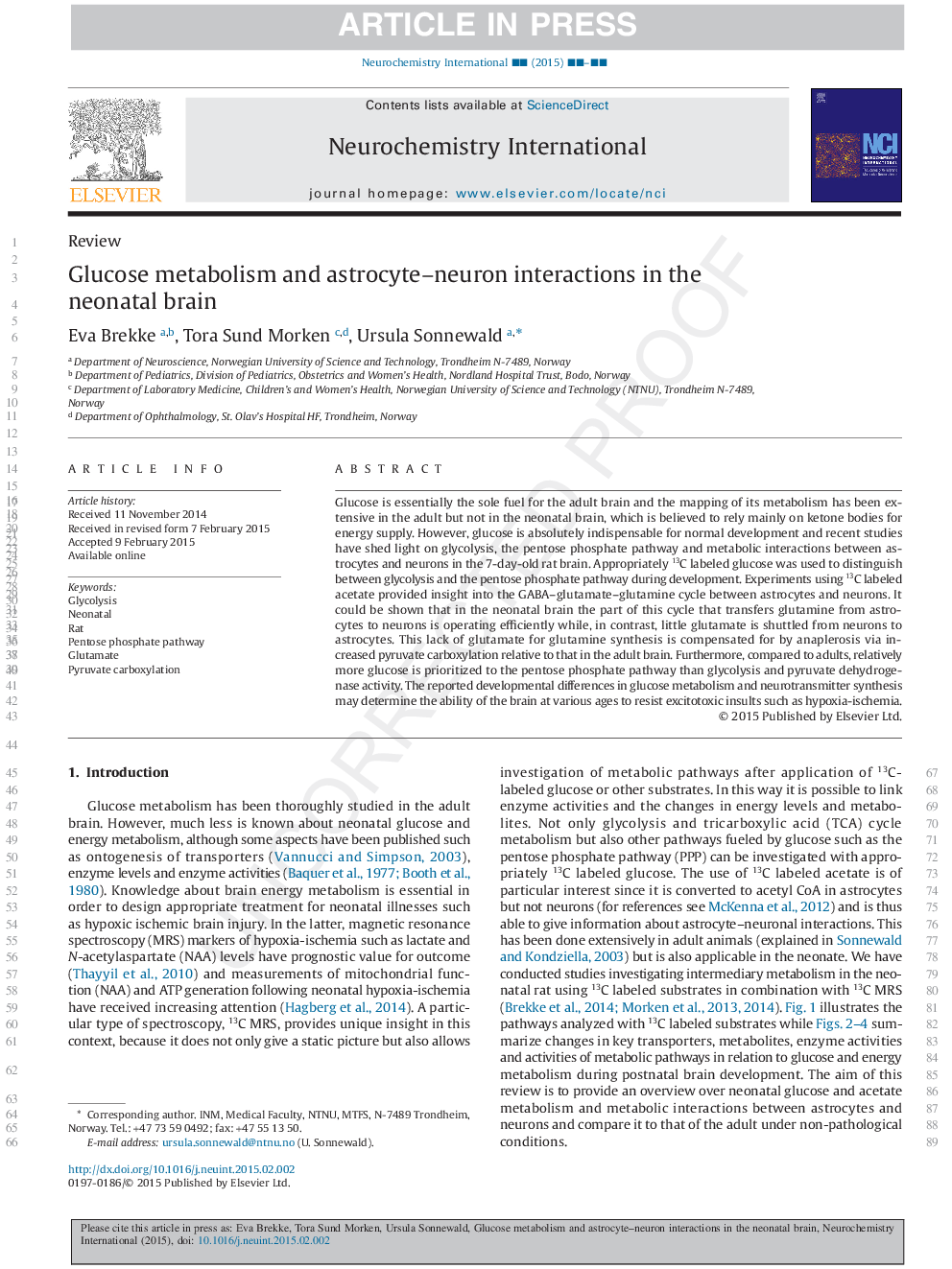 Glucose metabolism and astrocyte-neuron interactions in the neonatal brain