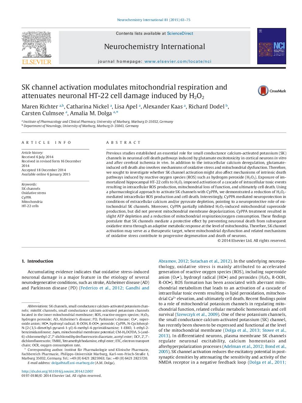 SK channel activation modulates mitochondrial respiration and attenuates neuronal HT-22 cell damage induced by H2O2