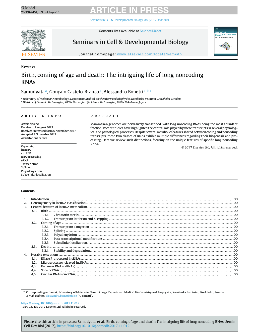 Birth, coming of age and death: The intriguing life of long noncoding RNAs