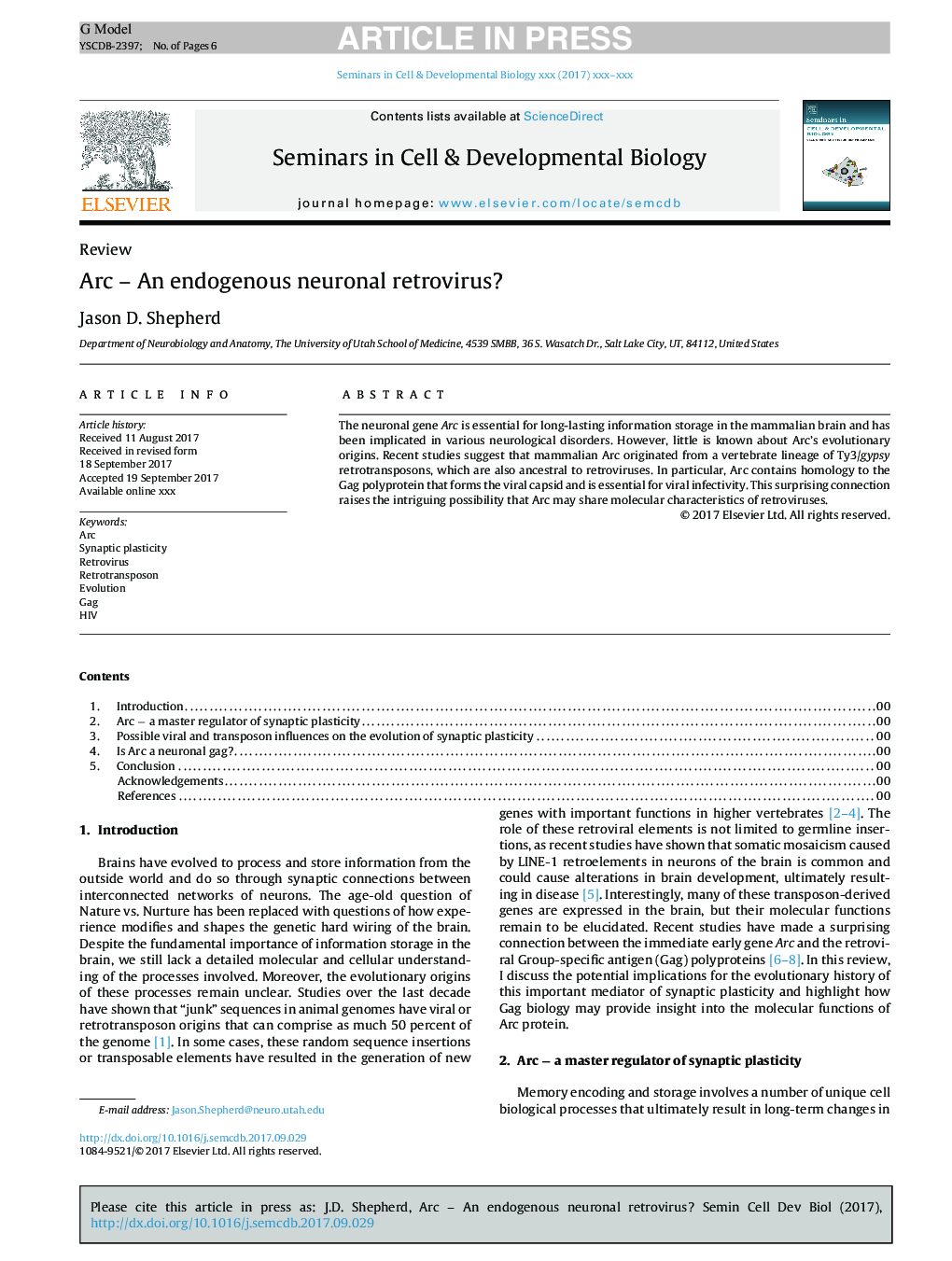 Arc - An endogenous neuronal retrovirus?