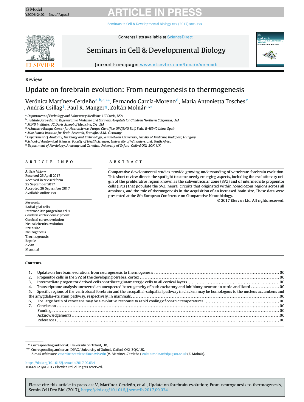 Update on forebrain evolution: From neurogenesis to thermogenesis