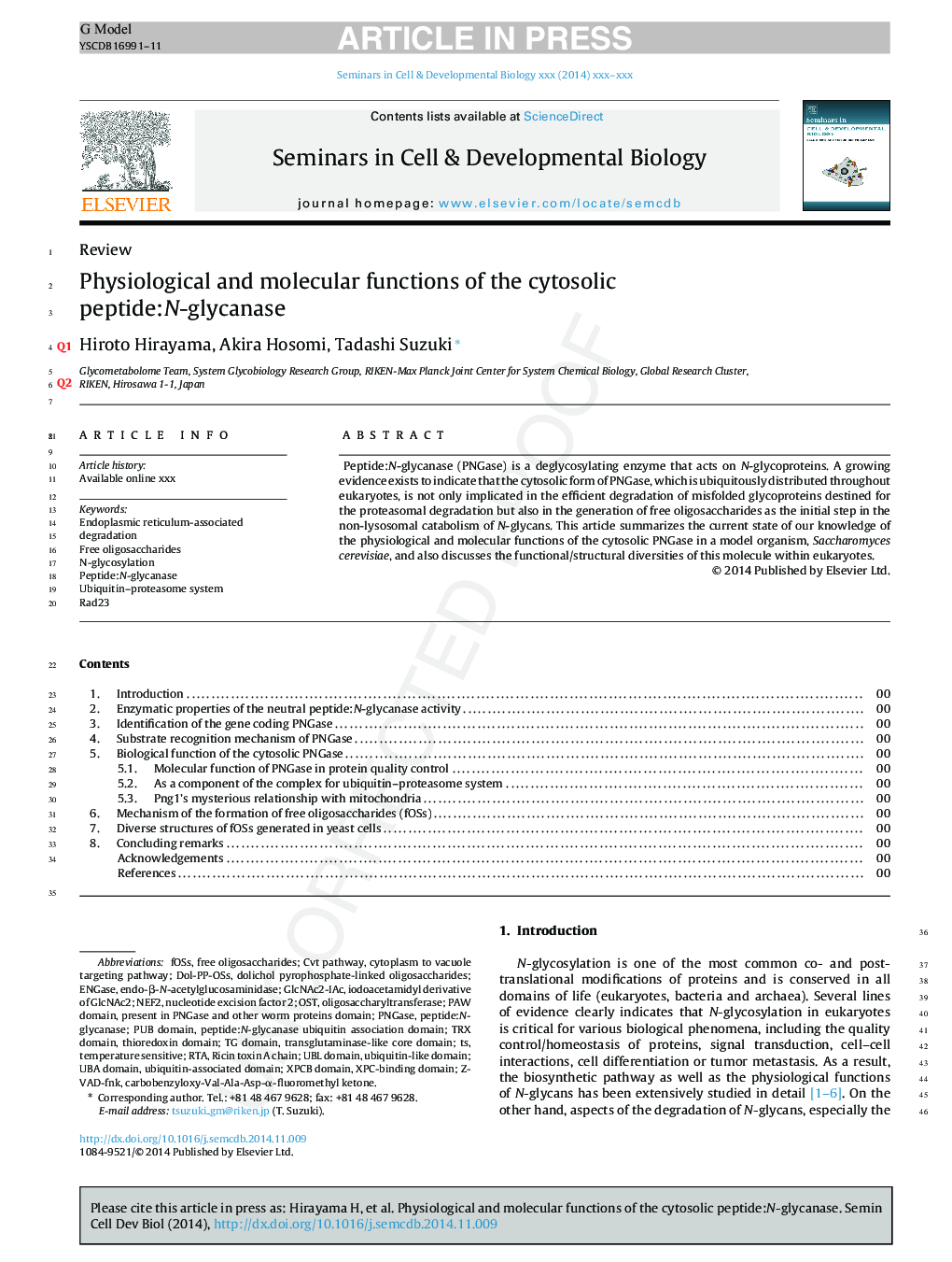 Physiological and molecular functions of the cytosolic peptide:N-glycanase