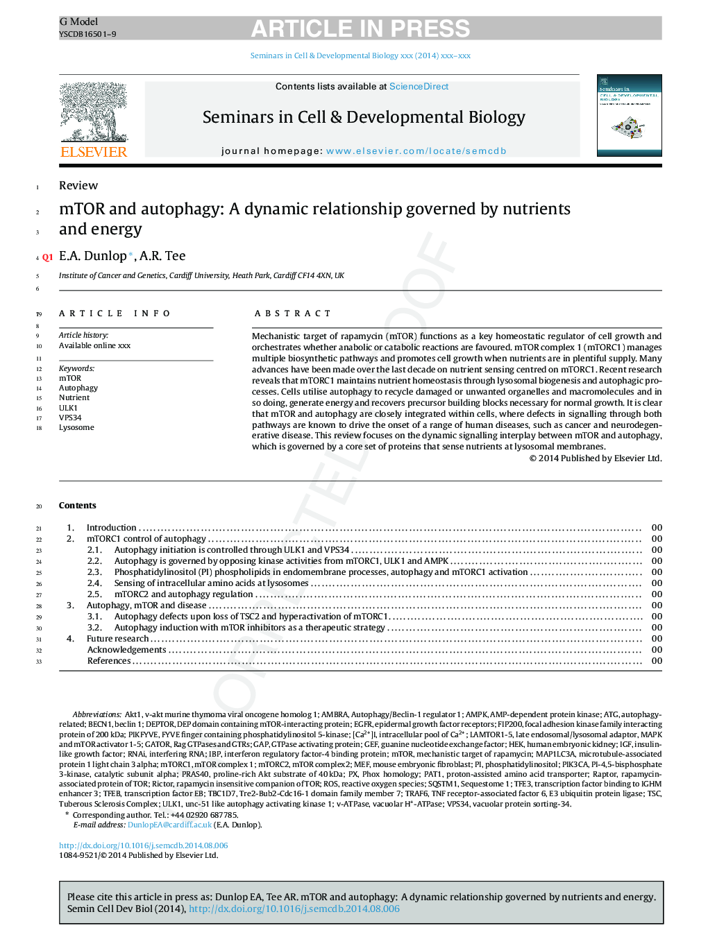 mTOR and autophagy: A dynamic relationship governed by nutrients and energy