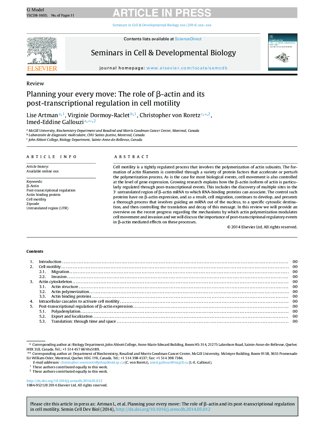 Planning your every move: The role of Î²-actin and its post-transcriptional regulation in cell motility