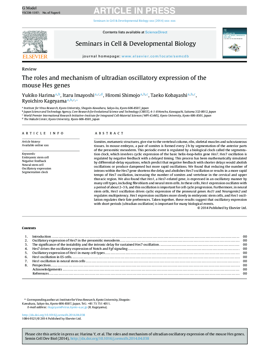 The roles and mechanism of ultradian oscillatory expression of the mouse Hes genes