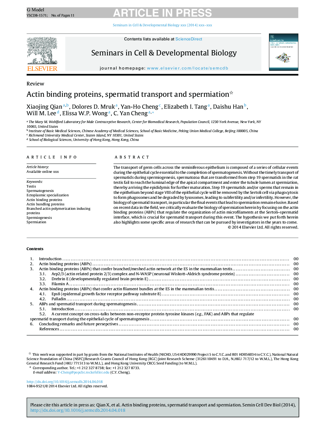 Actin binding proteins, spermatid transport and spermiation