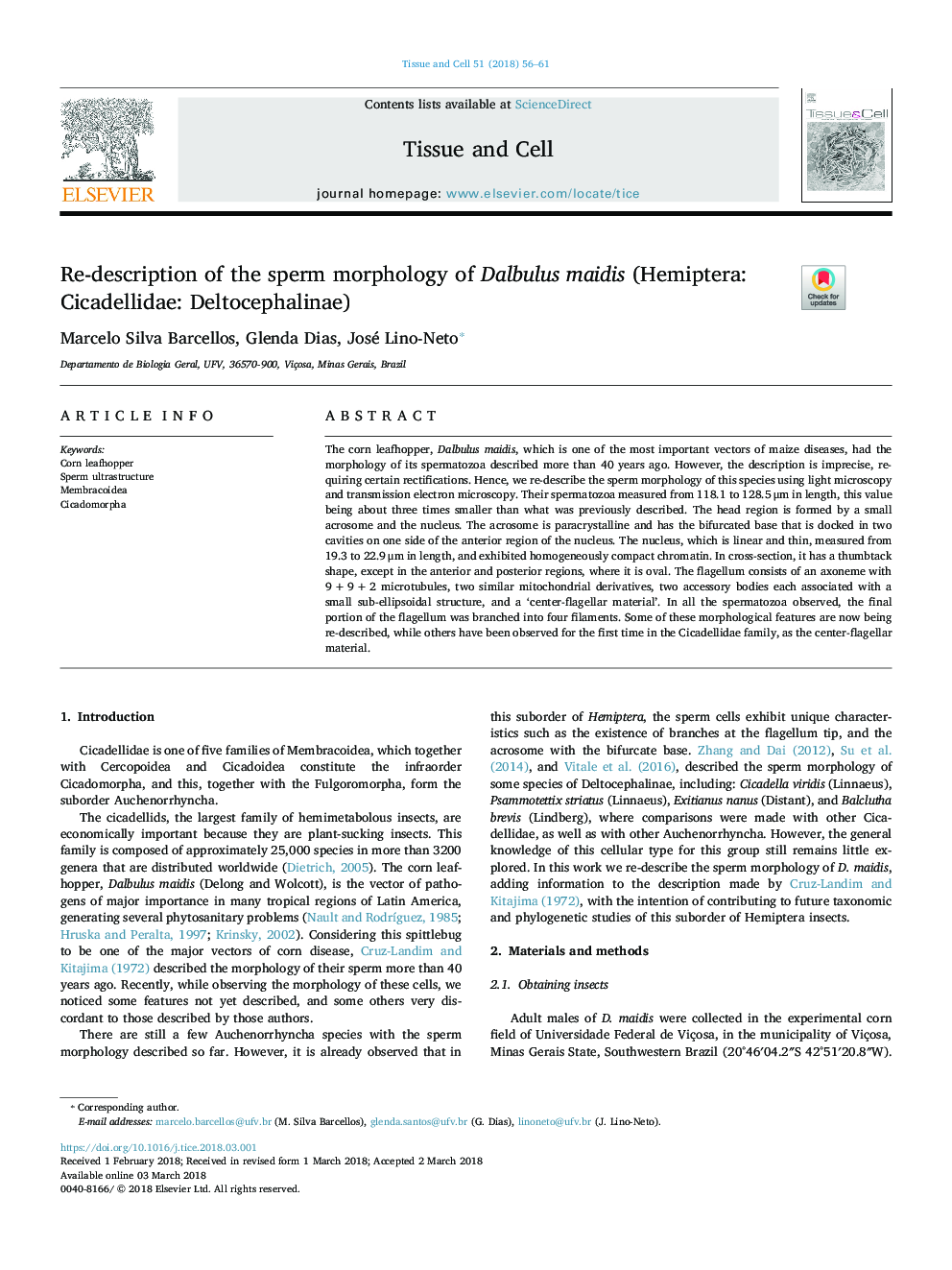 Re-description of the sperm morphology of Dalbulus maidis (Hemiptera: Cicadellidae: Deltocephalinae)