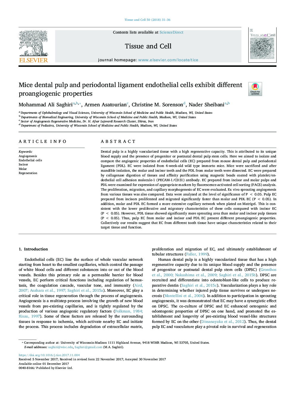 Mice dental pulp and periodontal ligament endothelial cells exhibit different proangiogenic properties