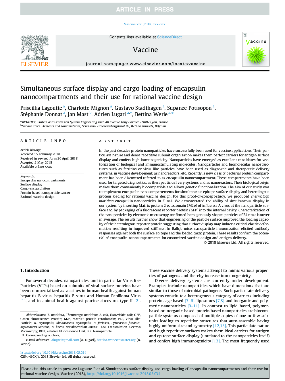 Simultaneous surface display and cargo loading of encapsulin nanocompartments and their use for rational vaccine design