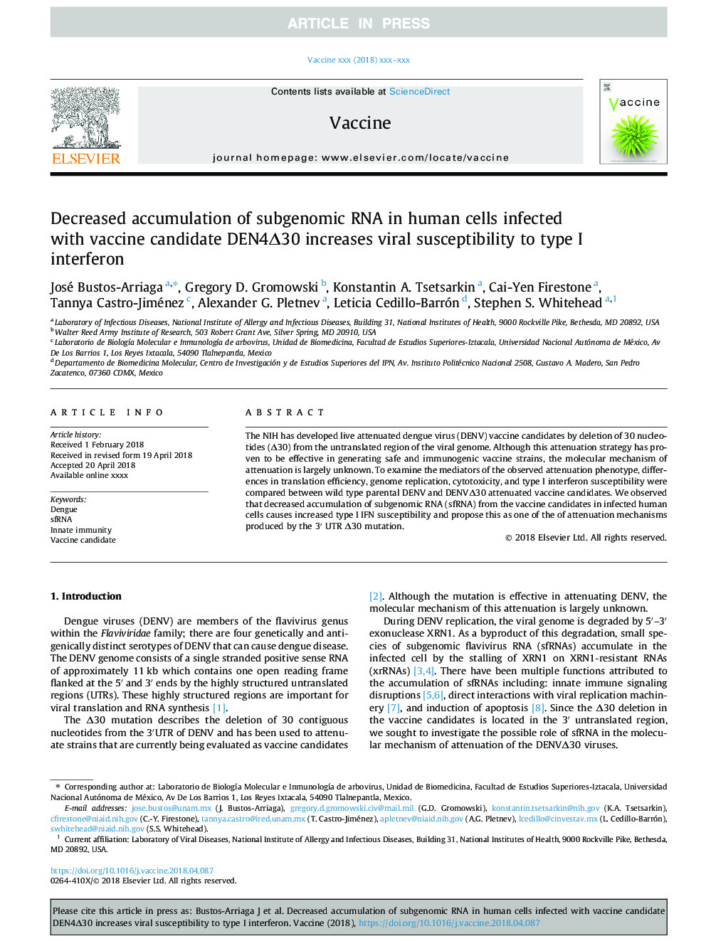 Decreased accumulation of subgenomic RNA in human cells infected with vaccine candidate DEN4Î30 increases viral susceptibility to type I interferon