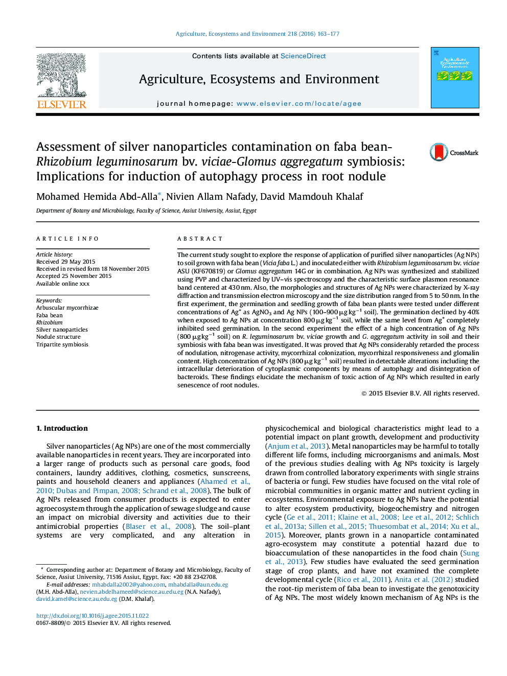 Assessment of silver nanoparticles contamination on faba bean-Rhizobium leguminosarum bv. viciae-Glomus aggregatum symbiosis: Implications for induction of autophagy process in root nodule