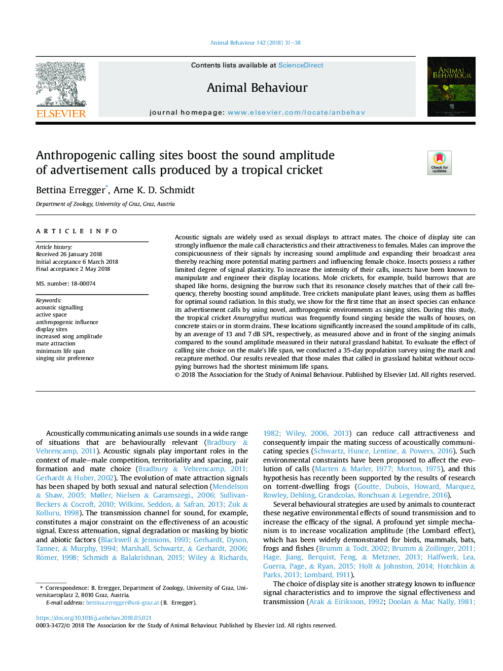 Anthropogenic calling sites boost the sound amplitude ofÂ advertisement calls produced by a tropical cricket