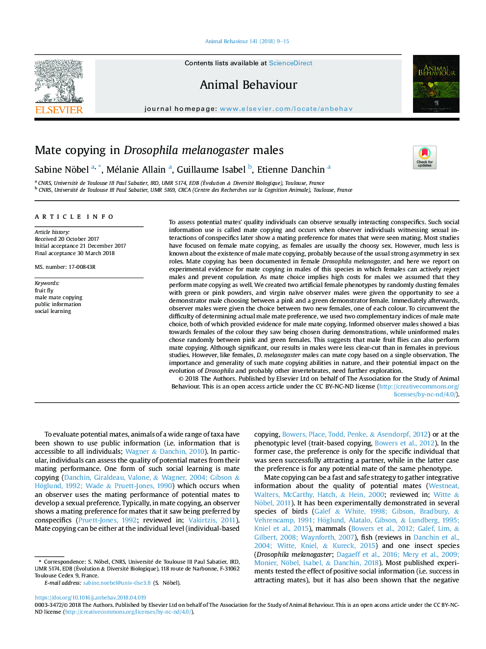 Mate copying in Drosophila melanogaster males