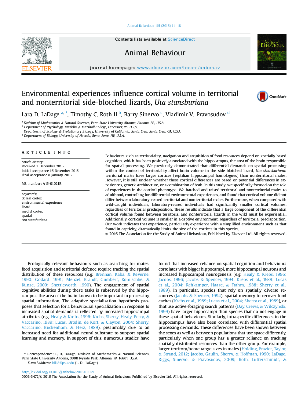 Environmental experiences influence cortical volume in territorial and nonterritorial side-blotched lizards, Uta stansburiana