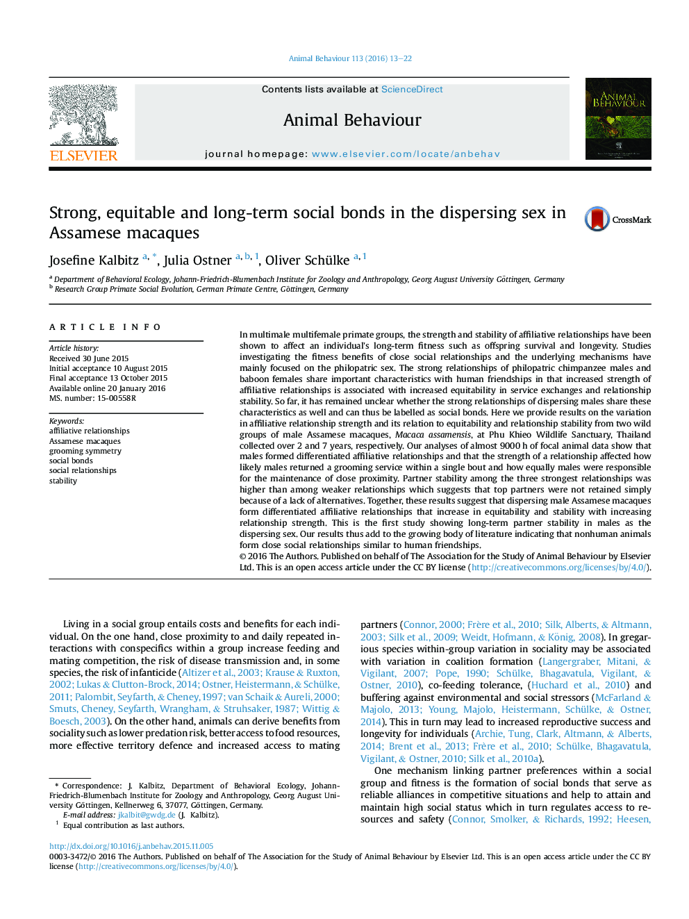 Strong, equitable and long-term social bonds in the dispersing sex in Assamese macaques