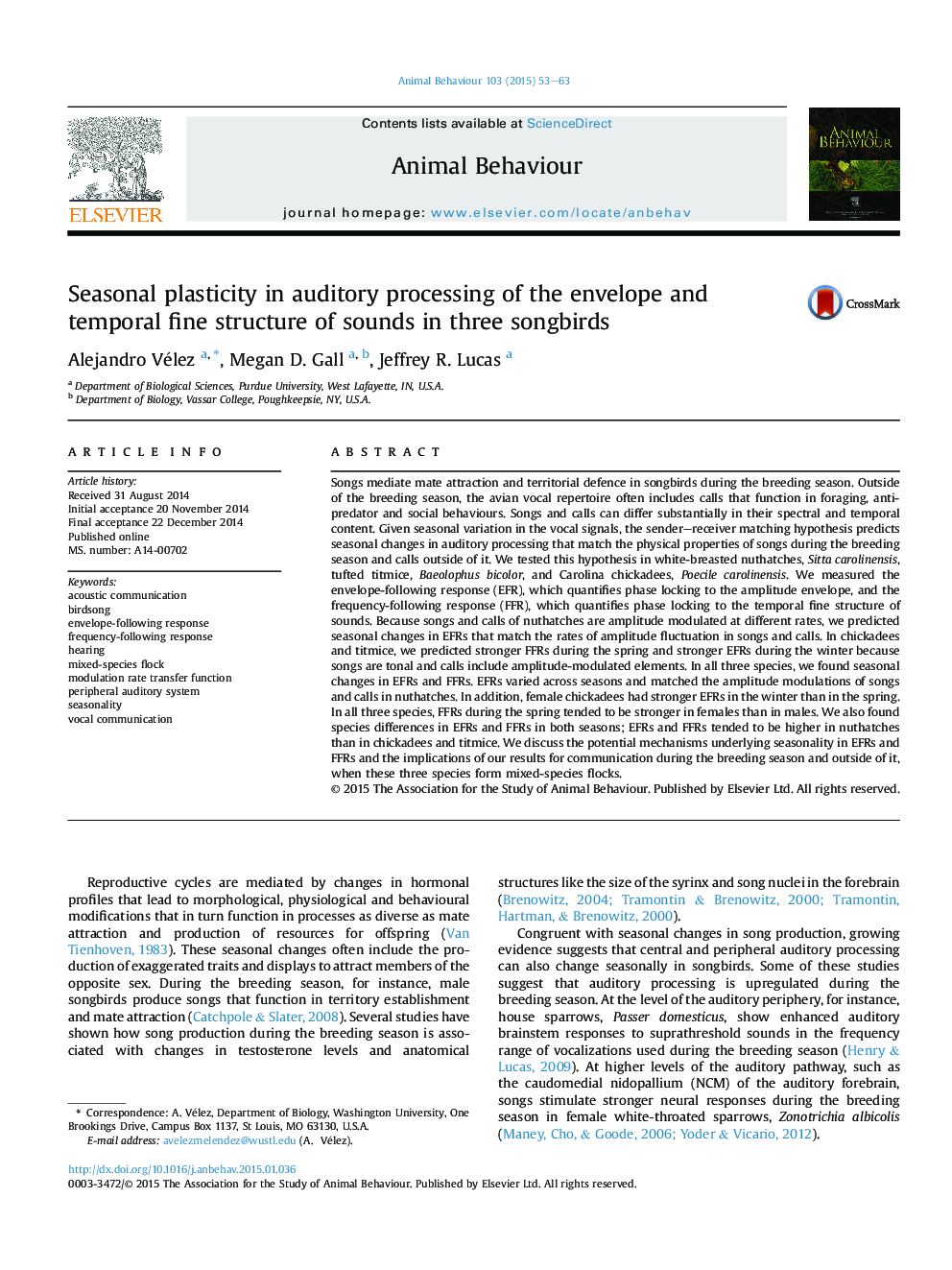 Seasonal plasticity in auditory processing of the envelope and temporal fine structure of sounds in three songbirds