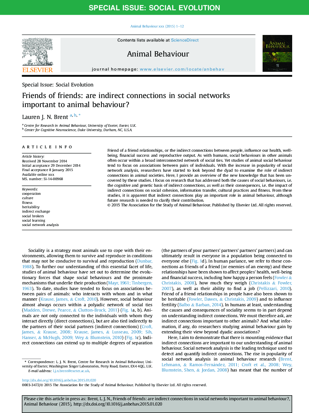 Friends of friends: are indirect connections in social networks important to animal behaviour?