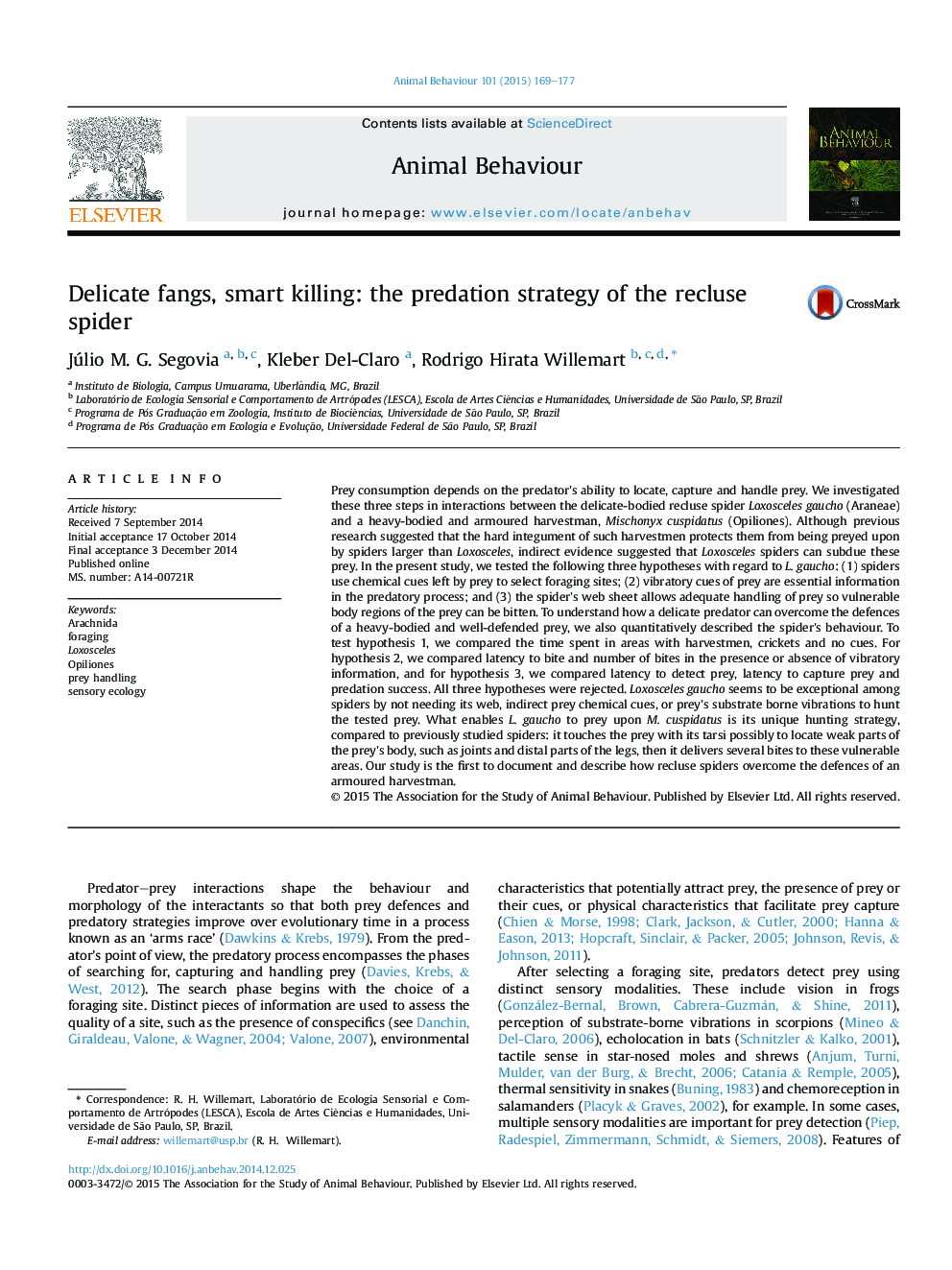 Delicate fangs, smart killing: the predation strategy of the recluse spider