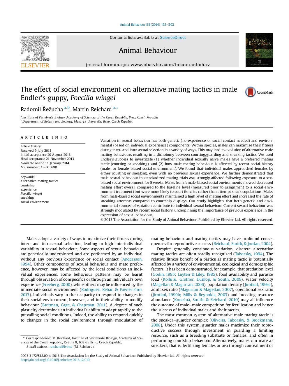 The effect of social environment on alternative mating tactics in male Endler's guppy, Poecilia wingei