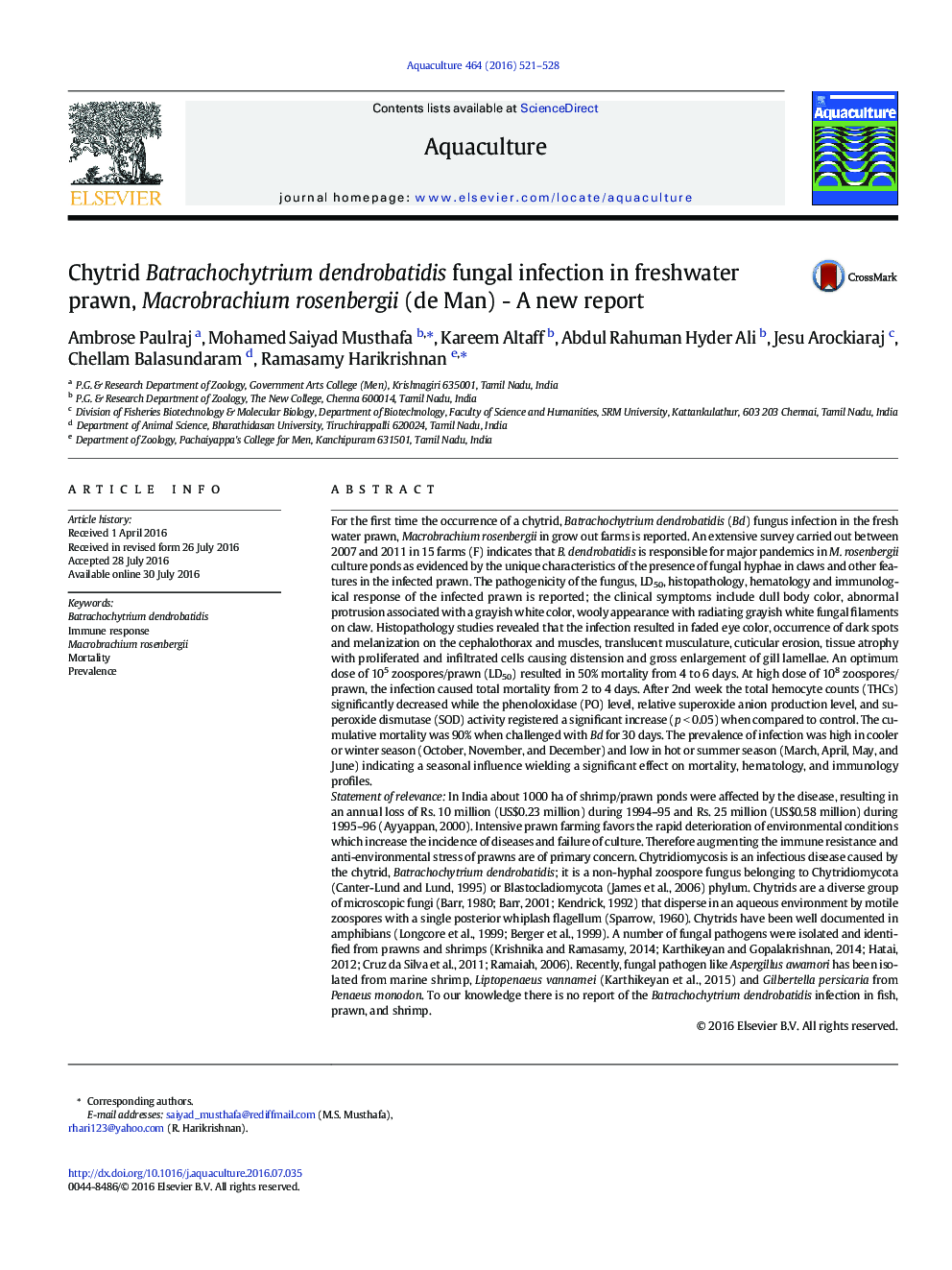 Chytrid Batrachochytrium dendrobatidis fungal infection in freshwater prawn, Macrobrachium rosenbergii (de Man) - A new report