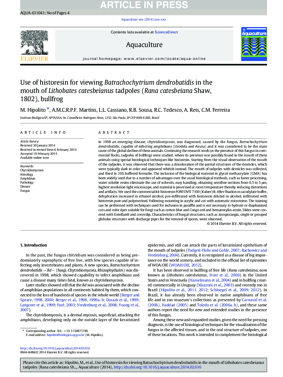 Use of historesin for viewing Batrachochytrium dendrobatidis in the mouth of Lithobates catesbeianus tadpoles (Rana catesbeiana Shaw, 1802), bullfrog