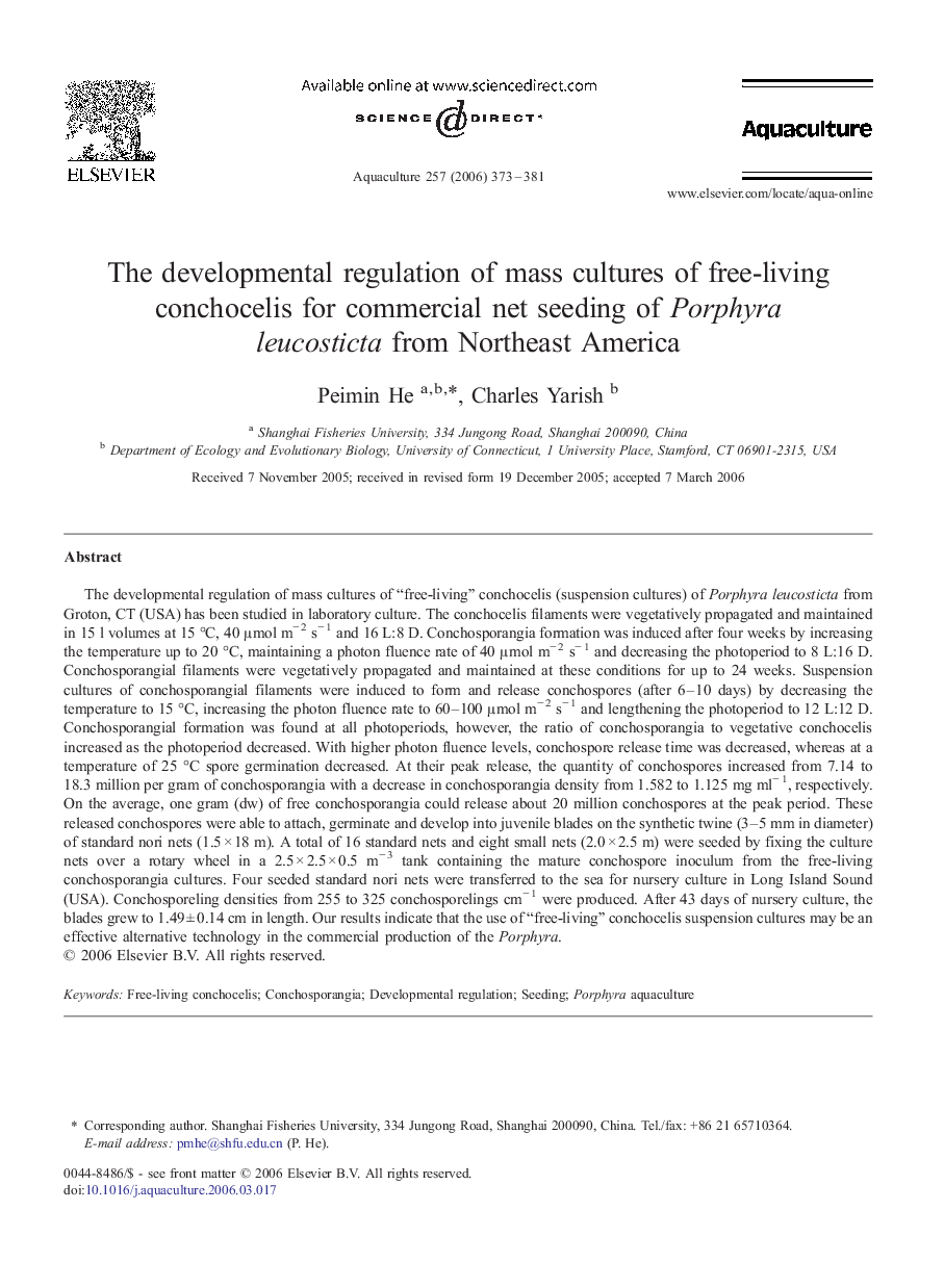 The developmental regulation of mass cultures of free-living conchocelis for commercial net seeding of Porphyra leucosticta from Northeast America