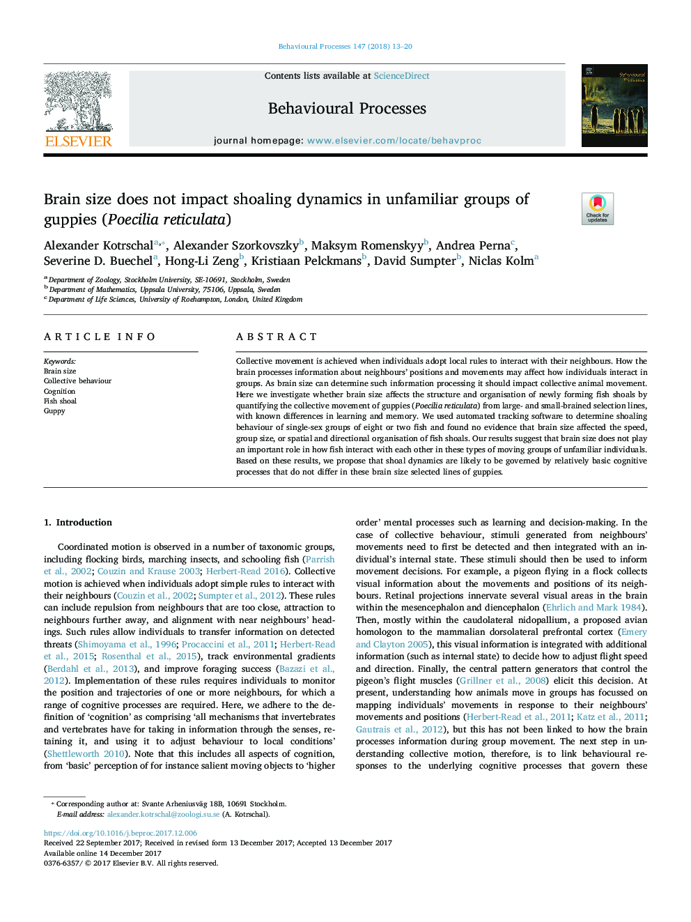 Brain size does not impact shoaling dynamics in unfamiliar groups of guppies (Poecilia reticulata)