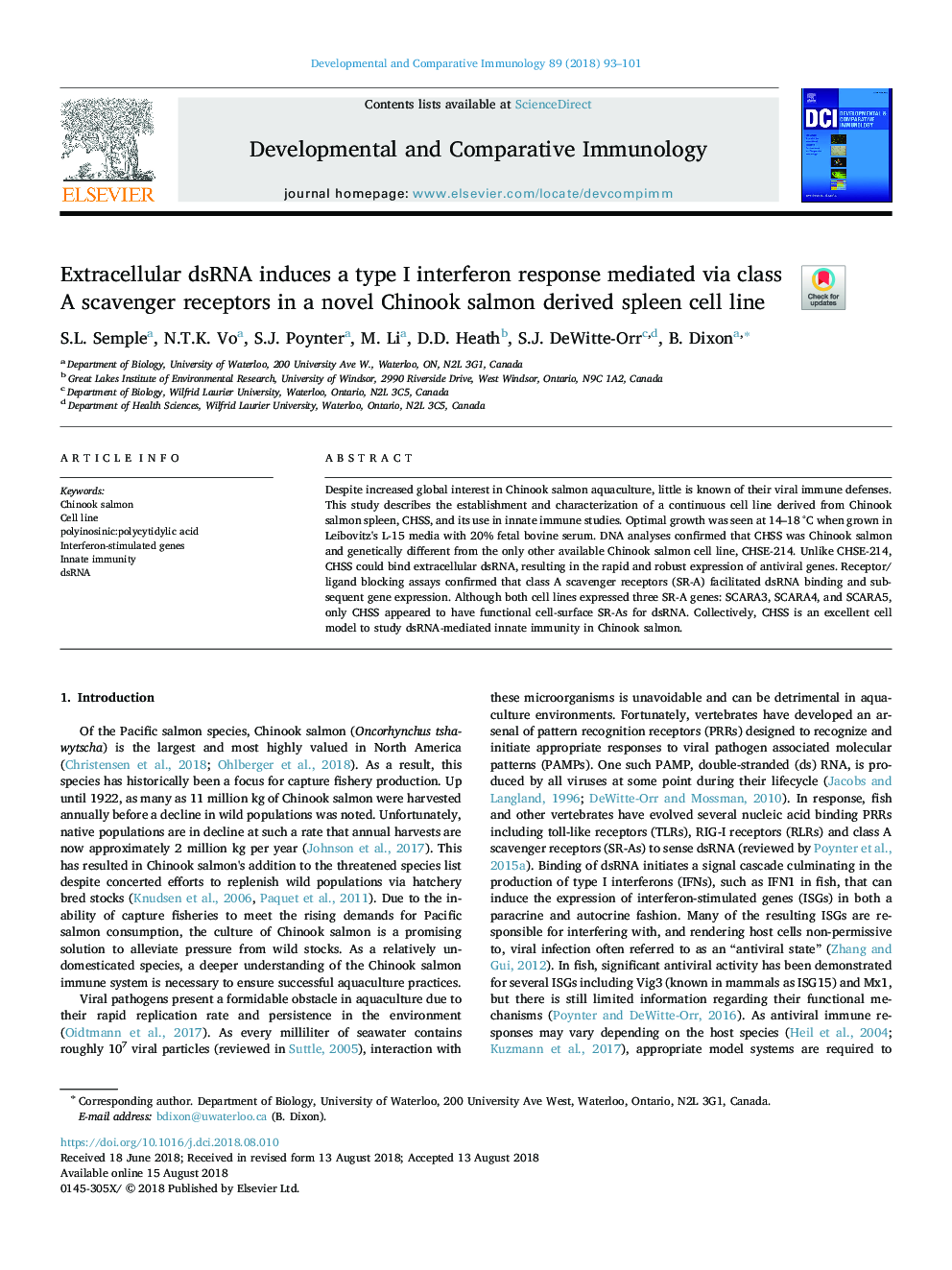 Extracellular dsRNA induces a type I interferon response mediated via class A scavenger receptors in a novel Chinook salmon derived spleen cell line