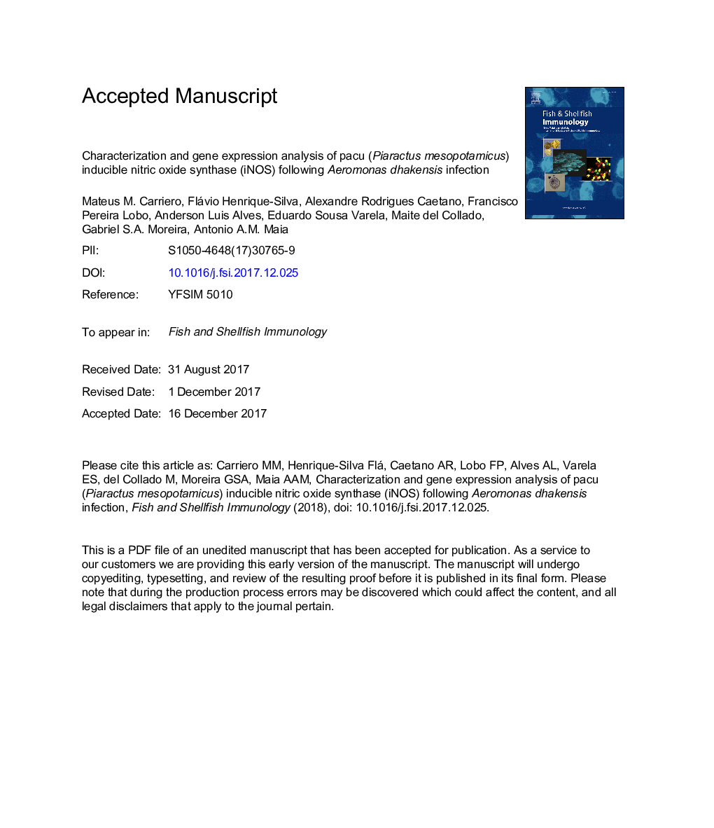 عکس صفحه اول مقاله: Characterization and gene expression analysis of pacu (Piaractus mesopotamicus) inducible nitric oxide synthase (iNOS) following Aeromonas dhakensis infection Characterization and gene expression analysis of pacu (Piaractus mesopotamicus) inducible nitric oxide synthase (iNOS) following Aeromonas dhakensis infection