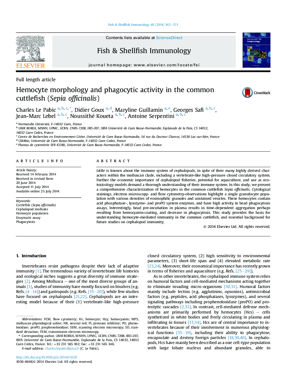 Hemocyte morphology and phagocytic activity in the common cuttlefish (Sepia officinalis)