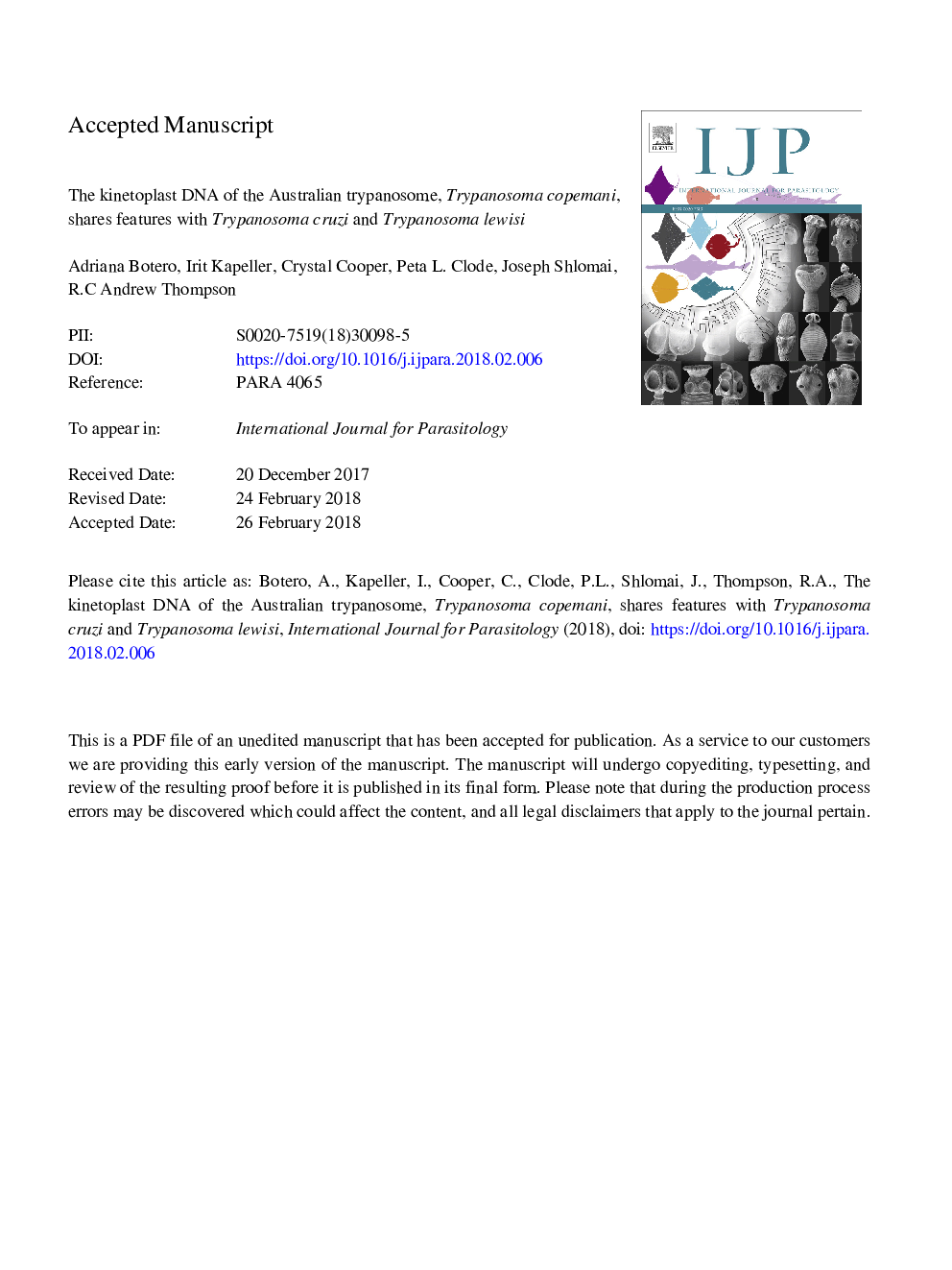 The kinetoplast DNA of the Australian trypanosome, Trypanosoma copemani, shares features with Trypanosoma cruzi and Trypanosoma lewisi